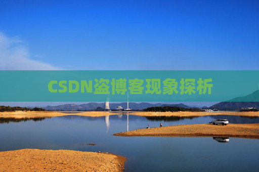 CSDN盗博客现象探析 CSDN盗博客现象探析